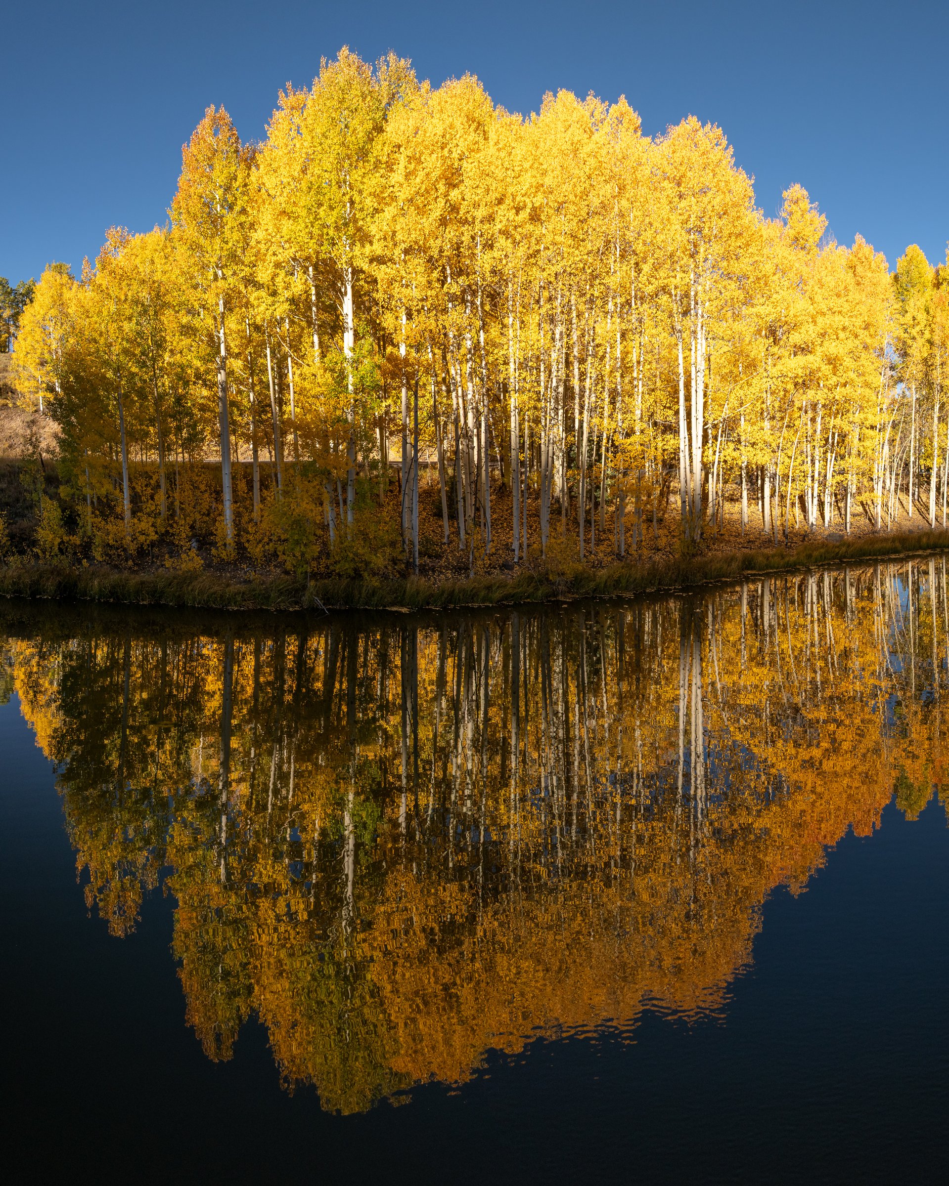 Telluride Rainbow